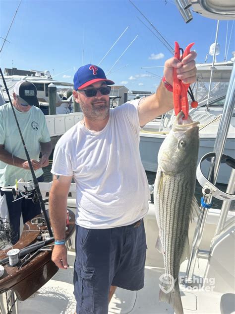 fishing report for delaware bay|Daily Delaware Bay Fishing Reports (August 2023) .